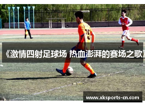 《激情四射足球场 热血澎湃的赛场之歌》